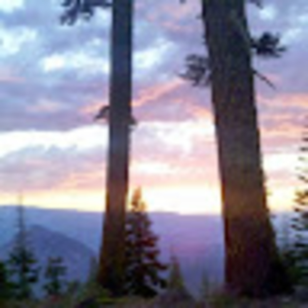 Meet your Posher, Johanna